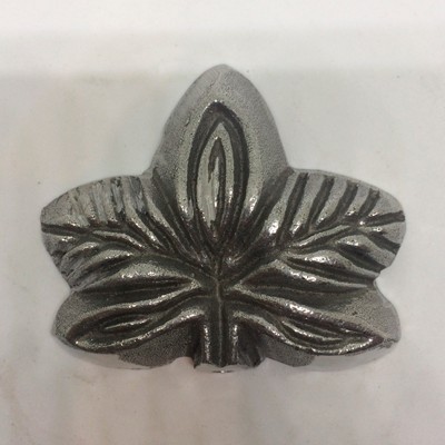 Foto2 - Orquidea P - M