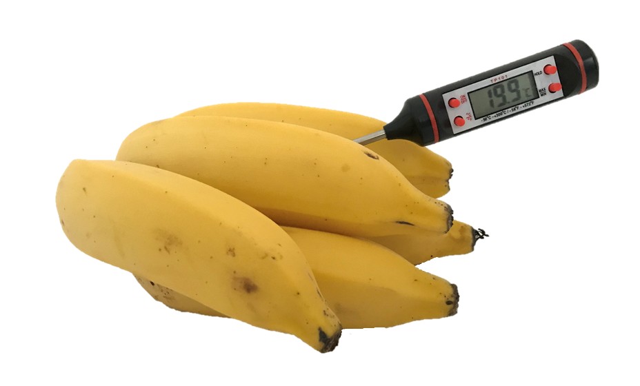 Imagem do produto Termômetro Digital para Polpa De Frutas