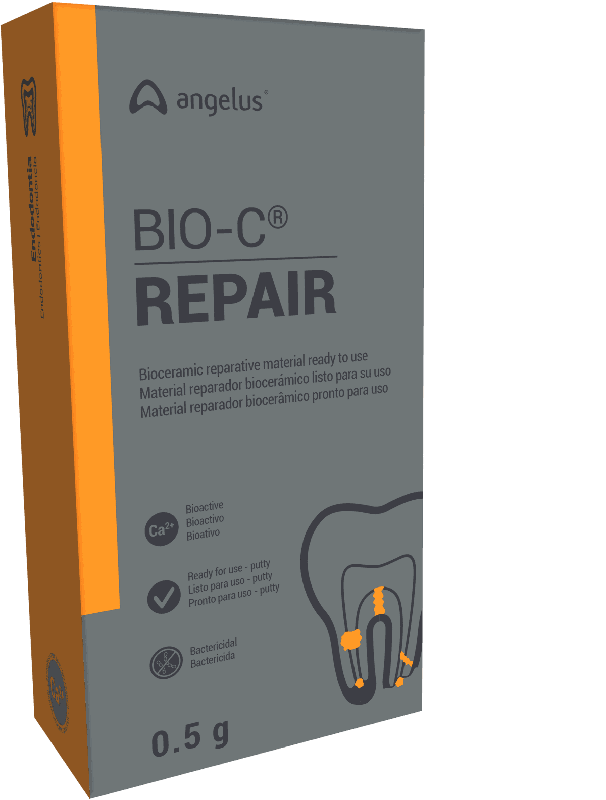 Foto 1 - Cimento Endodôntico Bio-C Repair - Angelus