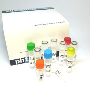 Kit para calibração de PCR - R$ 210,00