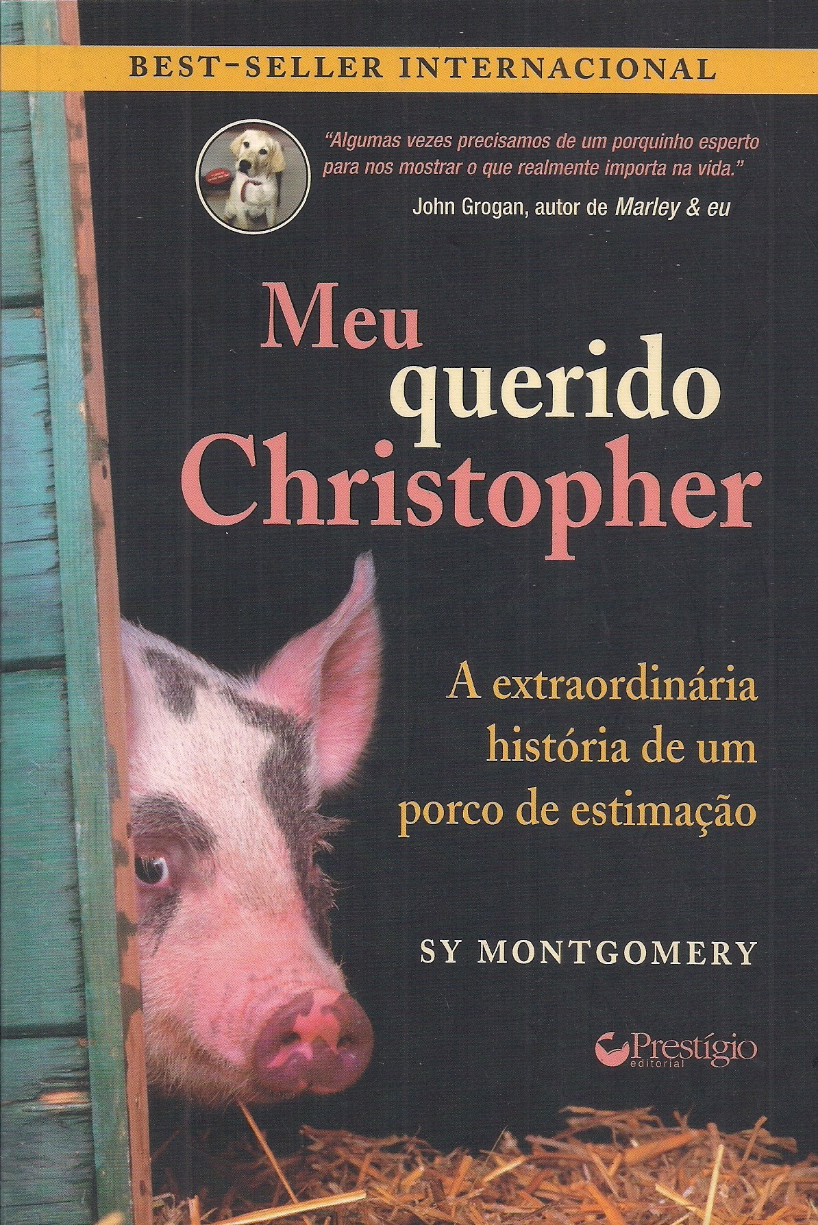 Foto 1 - Meu Querido Christopher - A extraordinária história de um porco de estimação