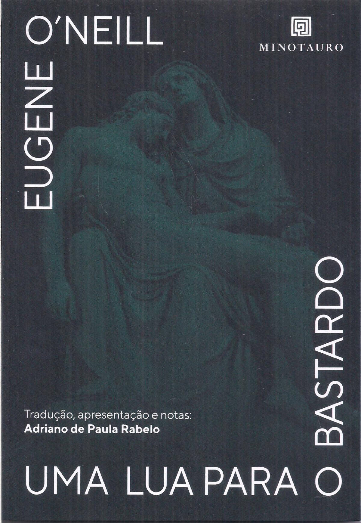 Foto 1 - Uma lua para o bastardo
