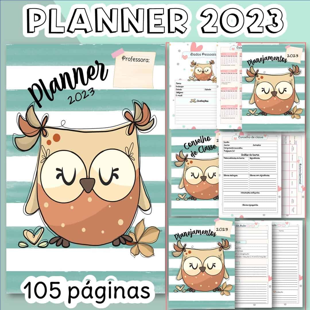 Imagem do produto Planner para Professor Tema Corujinha 01 - Layout2022