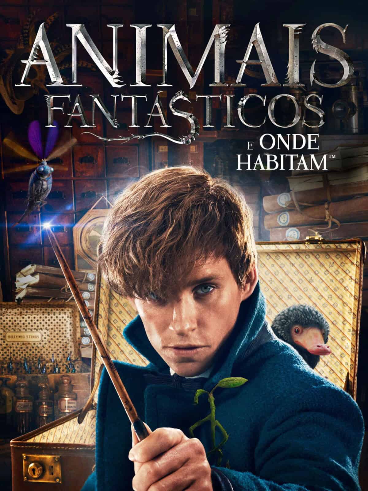 Imagem do produto Animais Fantásticos e Onde Habitam (2016) - MÍDIA DIGITAL