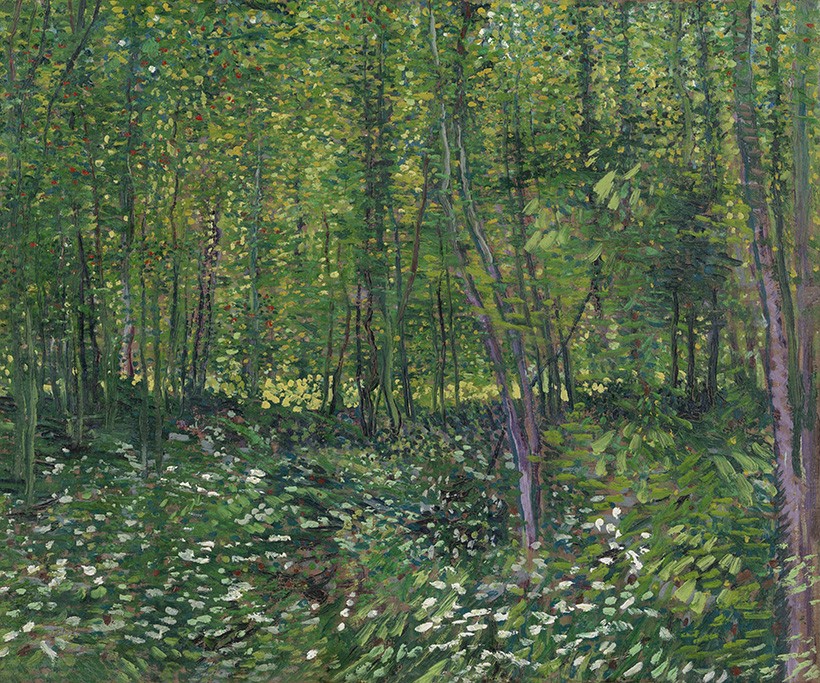 Foto 1 - Árvores e Vegetação Rasteira Pintura de Vincent van Gogh em TELA