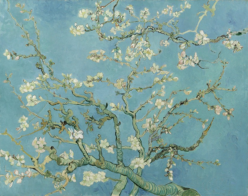 Foto 1 - Amendoeira em Flor Pintura de Vincent van Gogh em TELA