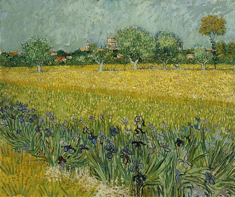 Foto 1 - Campo de Flor Íris perto de Arles França Flores Pintura de Vincent van Gogh em TELA