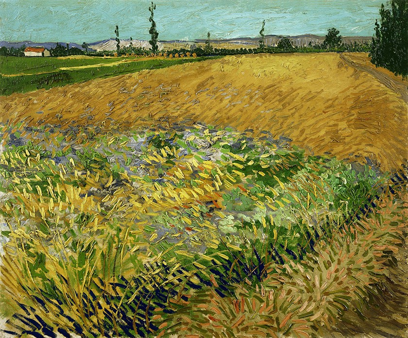 Foto 1 - Campos de Trigo Seara Plantação Fazenda Pintura de Vincent van Gogh em TELA