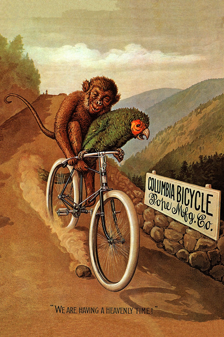Foto 1 - Columbia Macaco Papagaio Bicicleta Vintage Cartaz Poster em Papel Matte 