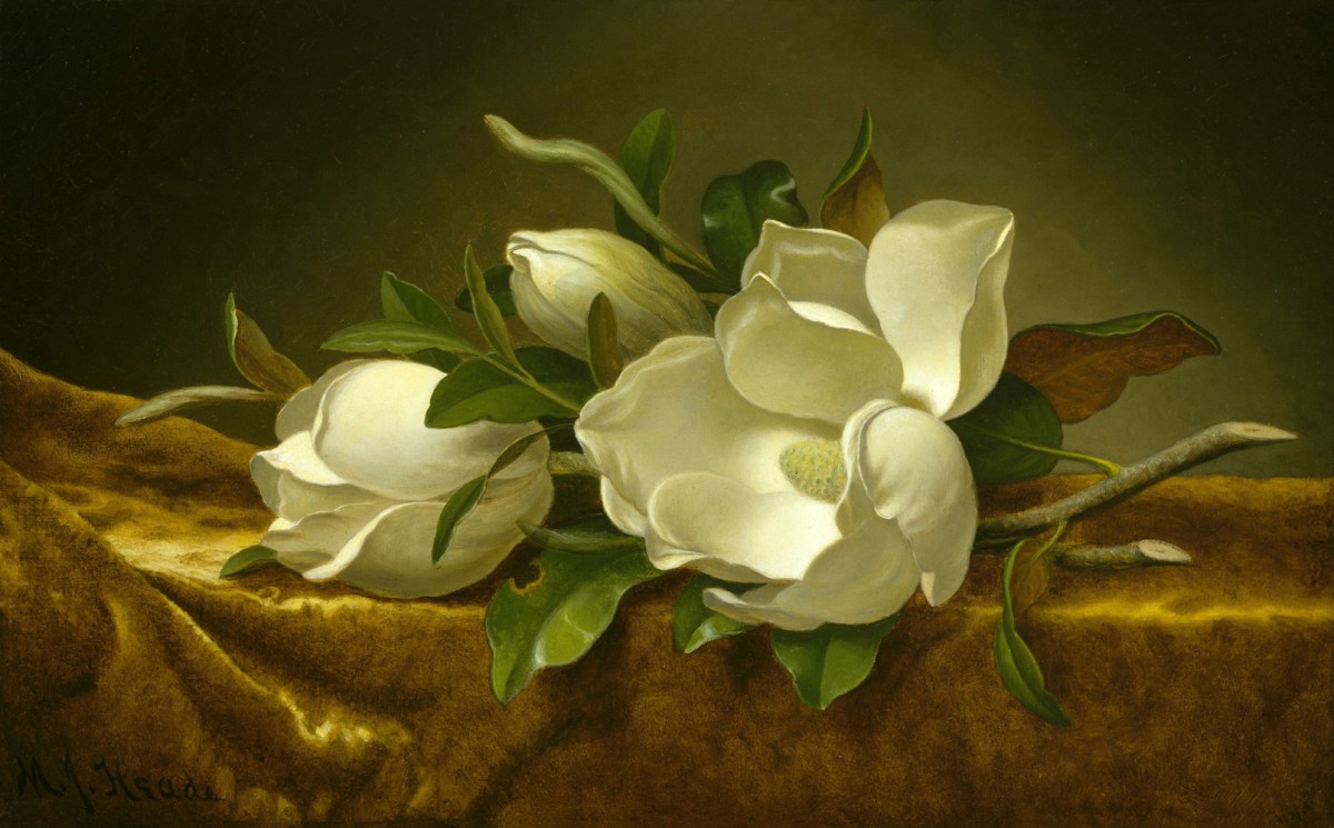 Foto 1 - Flores Magnólias em um Tecido de Veludo Dourado Pintura de Martin Johnson Heade em TELA 