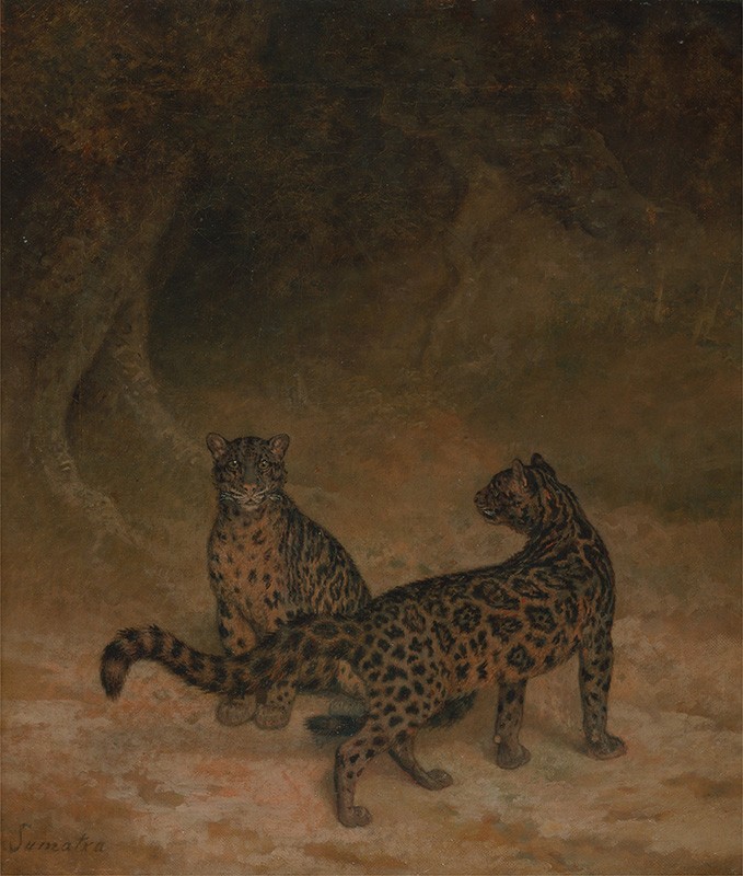 Foto 1 - Leopardos Nublados Animais da Ásia Selva Pintura de Jacques-Laurent Agasse em TELA 