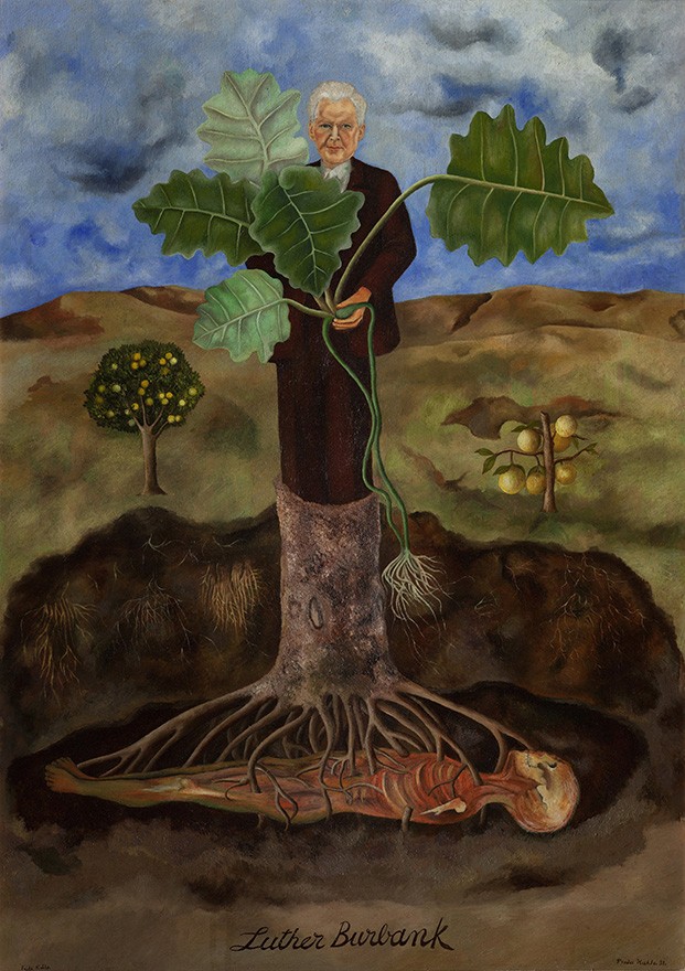 Foto 1 - Retrato de Luther Burbank Horticultor Metade Homem Metade Árvore Raízes Alimentadas por Cadáver Pintura de Frida Kahlo em TELA 