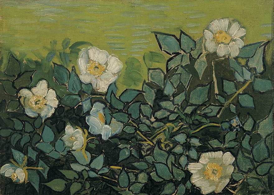 Foto 1 - Rosas Selvagens Flores Pintura de Vincent van Gogh em TELA