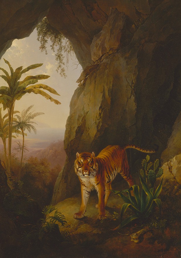 Foto 1 - Tigre em uma Caverna Animal Selvagem Pintura de Jacques-Laurent Agasse em TELA 